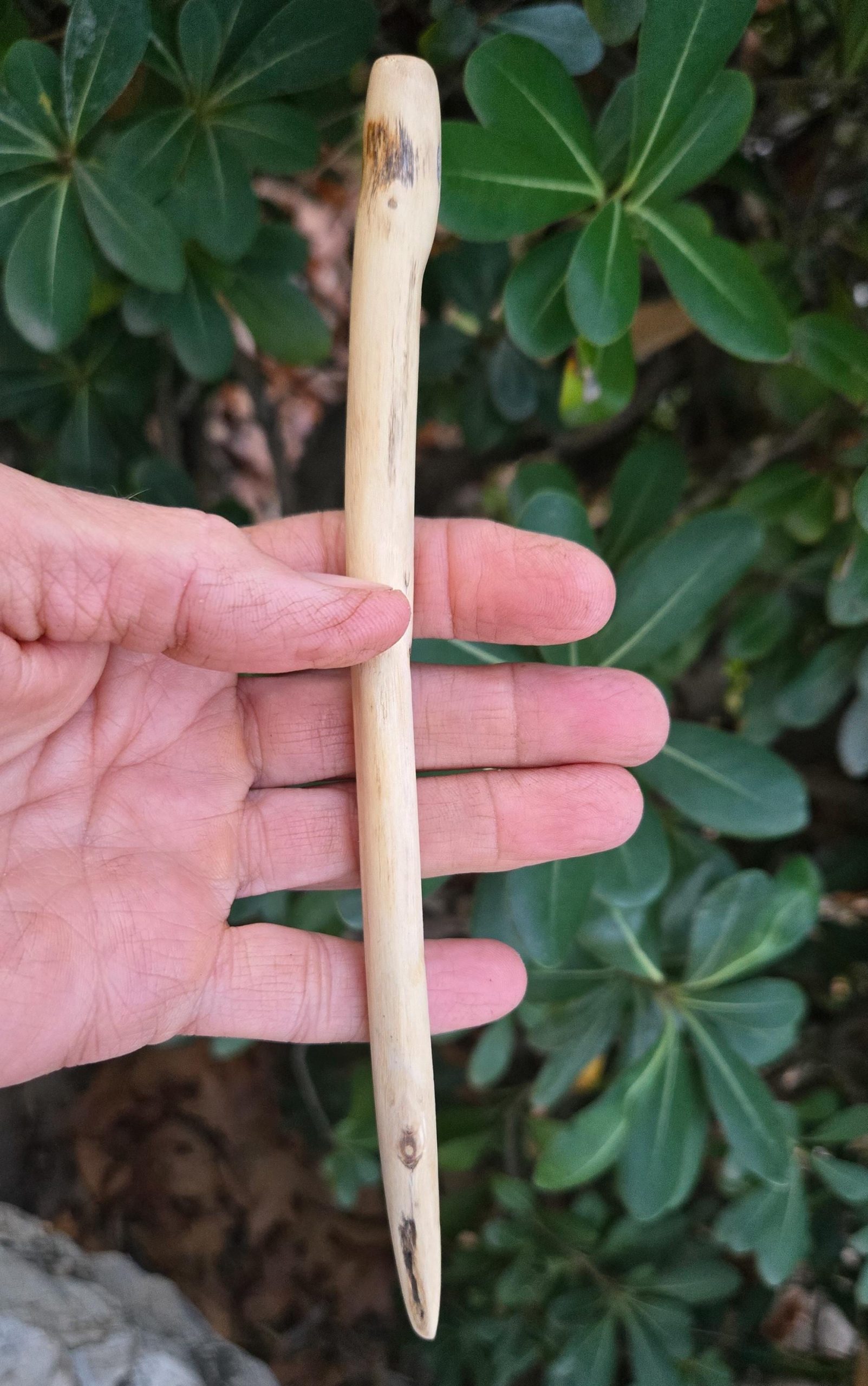 Cottonwood wood hair fork showing fine grain and natural knots held in hand — one-of-a-kind handcrafted hair stick.
