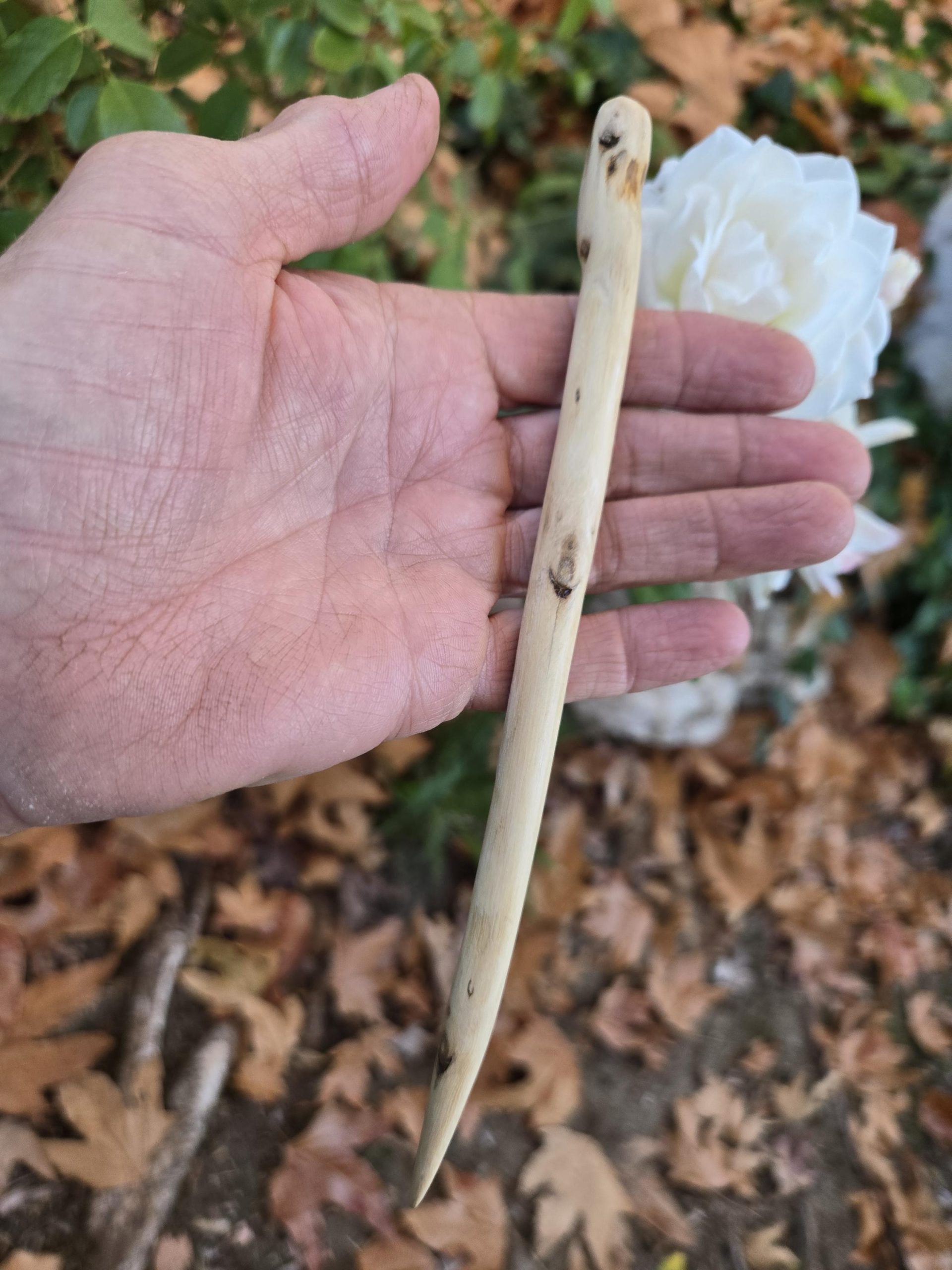 Alternate angle of cottonwood wood hair fork — Sprouted Dreams plastic-free hair accessory.