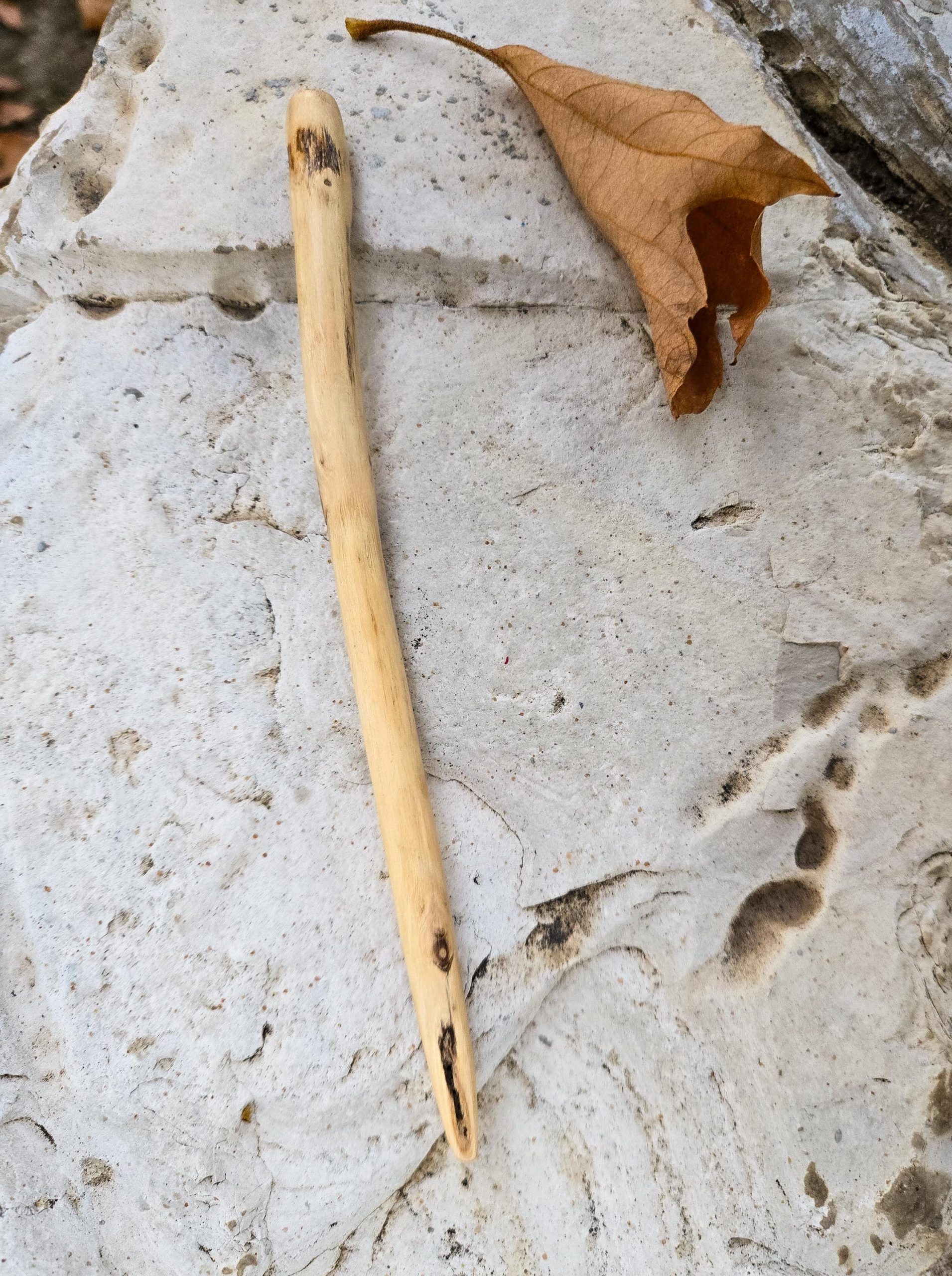 Natural cottonwood wood hair fork on rustic stone — artisan hair holder made from windfall wood.