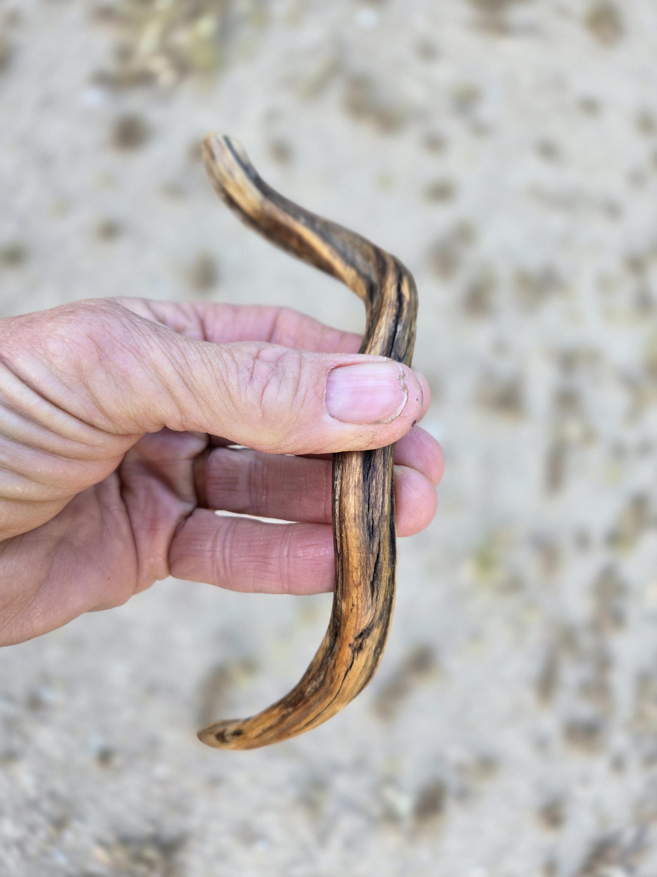 Twisted wood hair fork showing fine grain and natural knots held in hand — one-of-a-kind handcrafted hair stick.