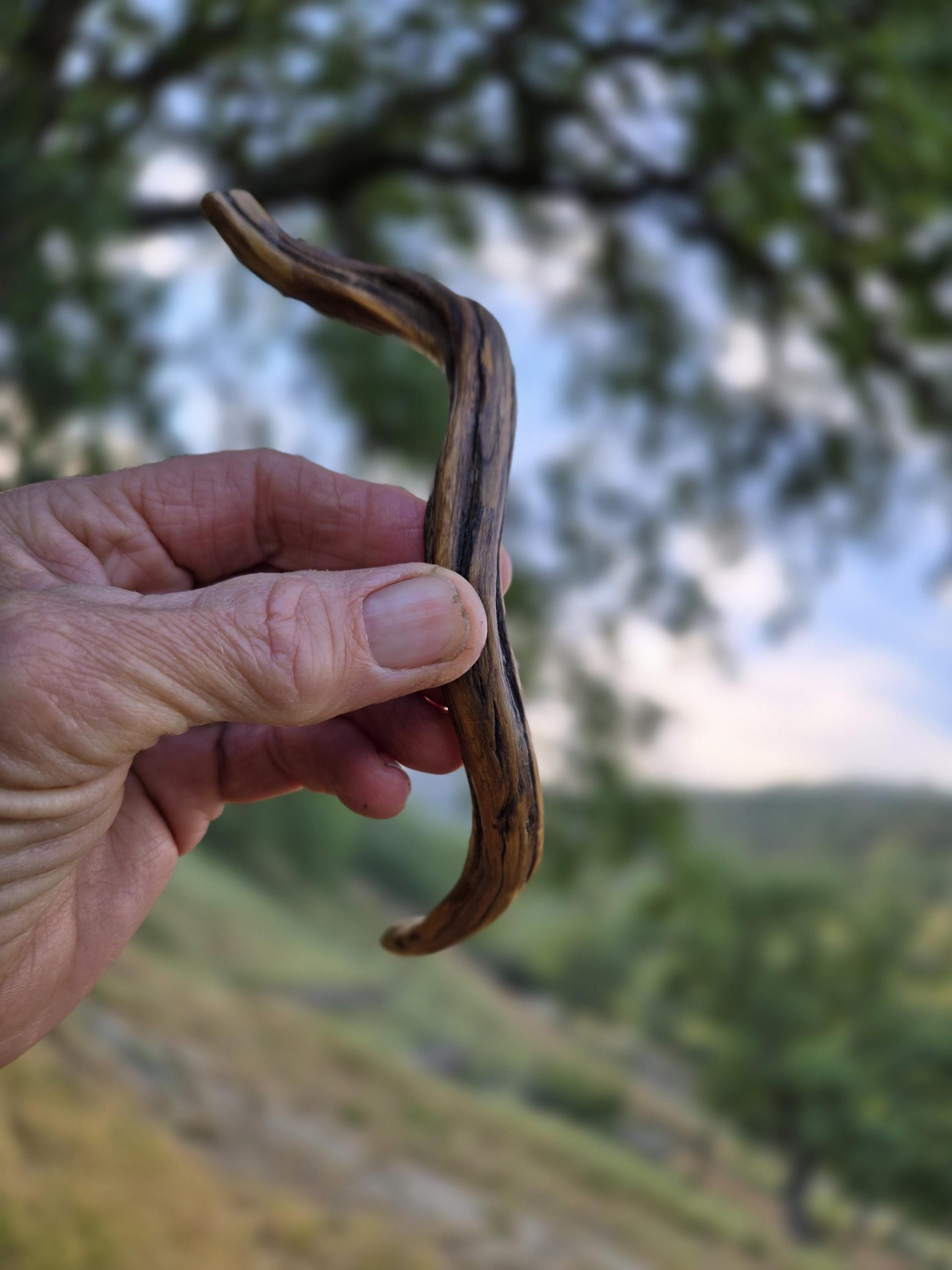 Twisted wood hair fork holding thick long hair from behind — durable handmade pin for boho styling.
