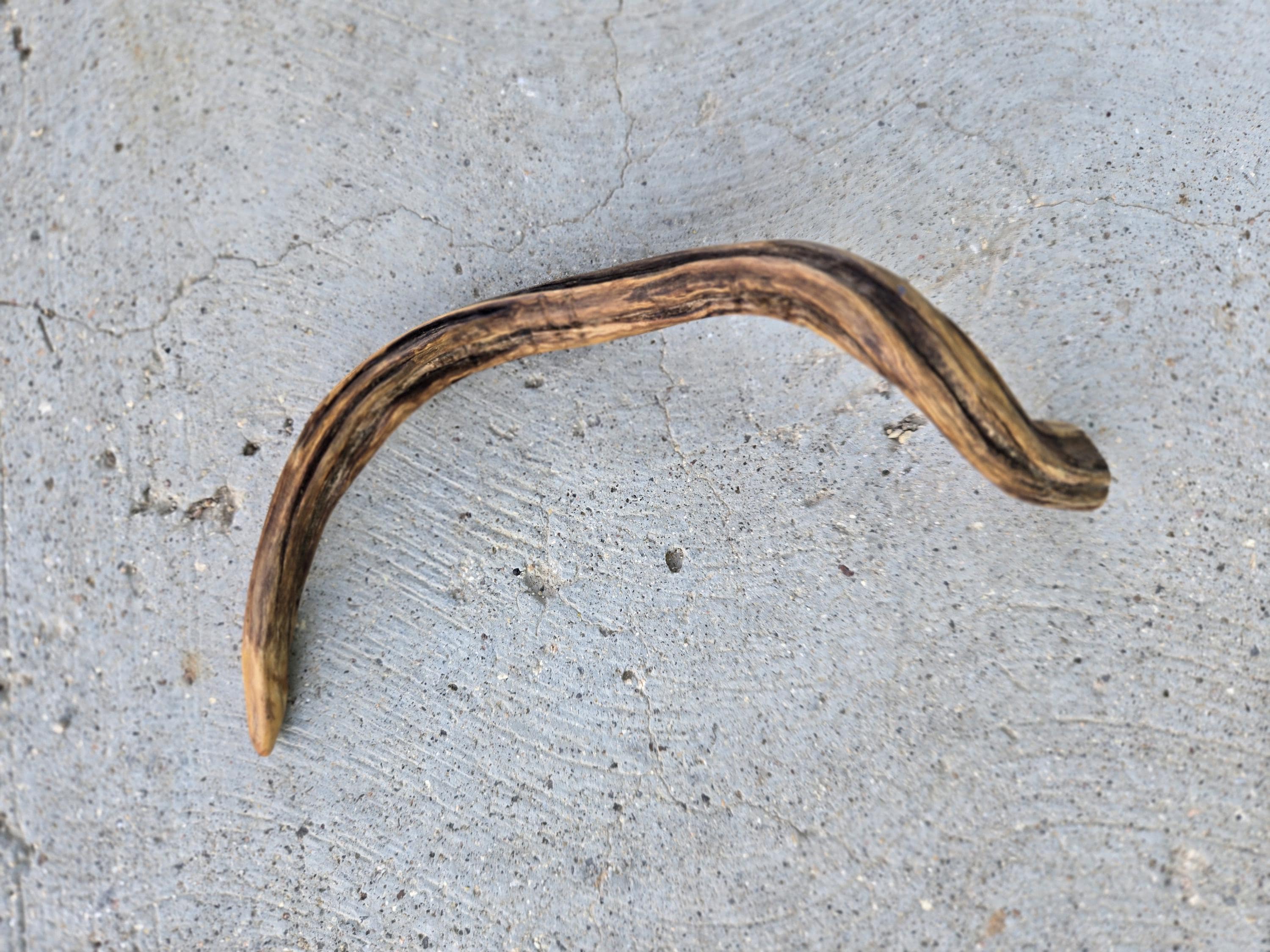 Side view of hand-sanded twisted hair fork with organic branch character — cottagecore hair tool.
