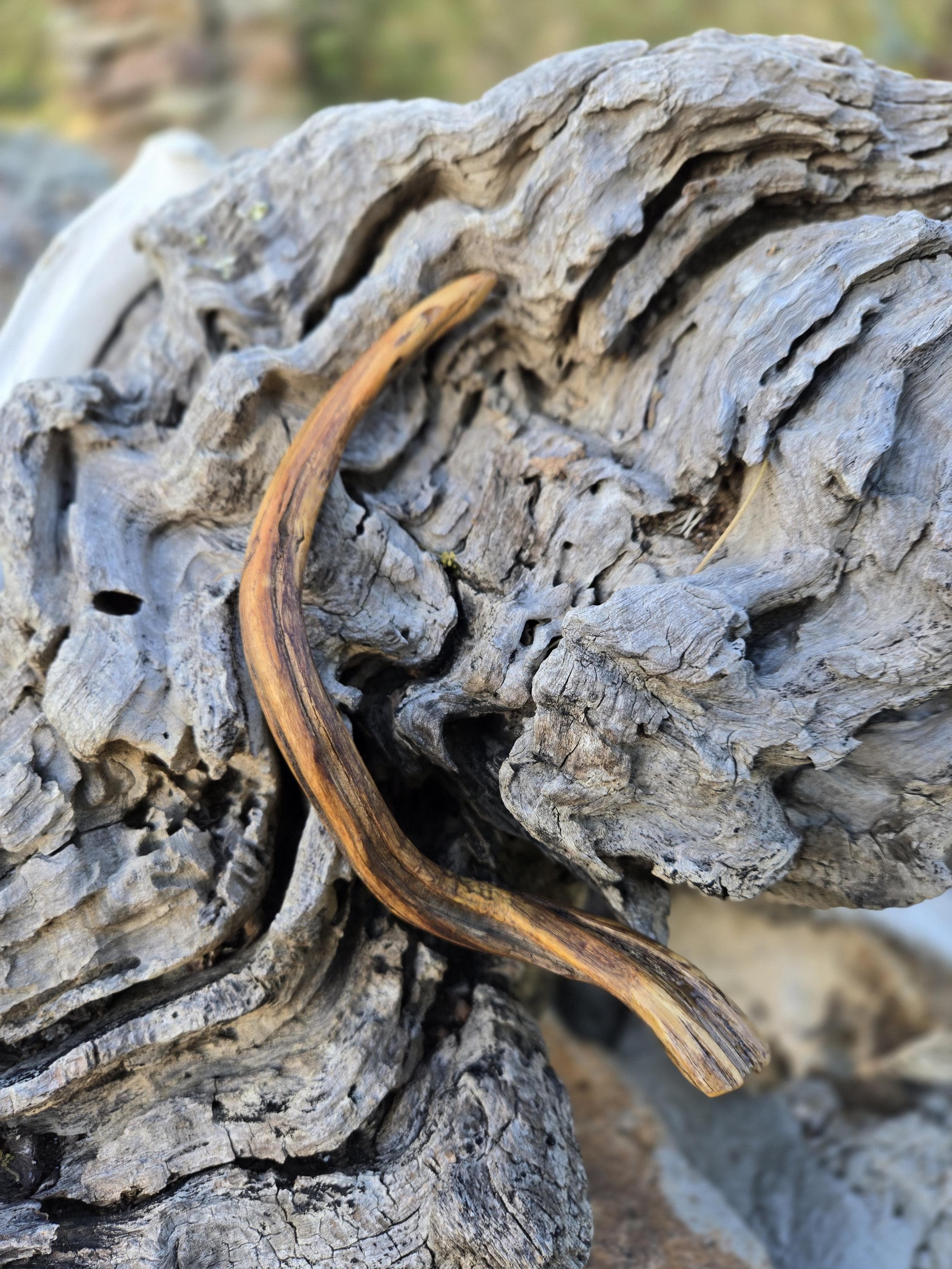 Single-tine twisted hair fork in a half-up bun on long hair — lightweight wooden hair accessory.