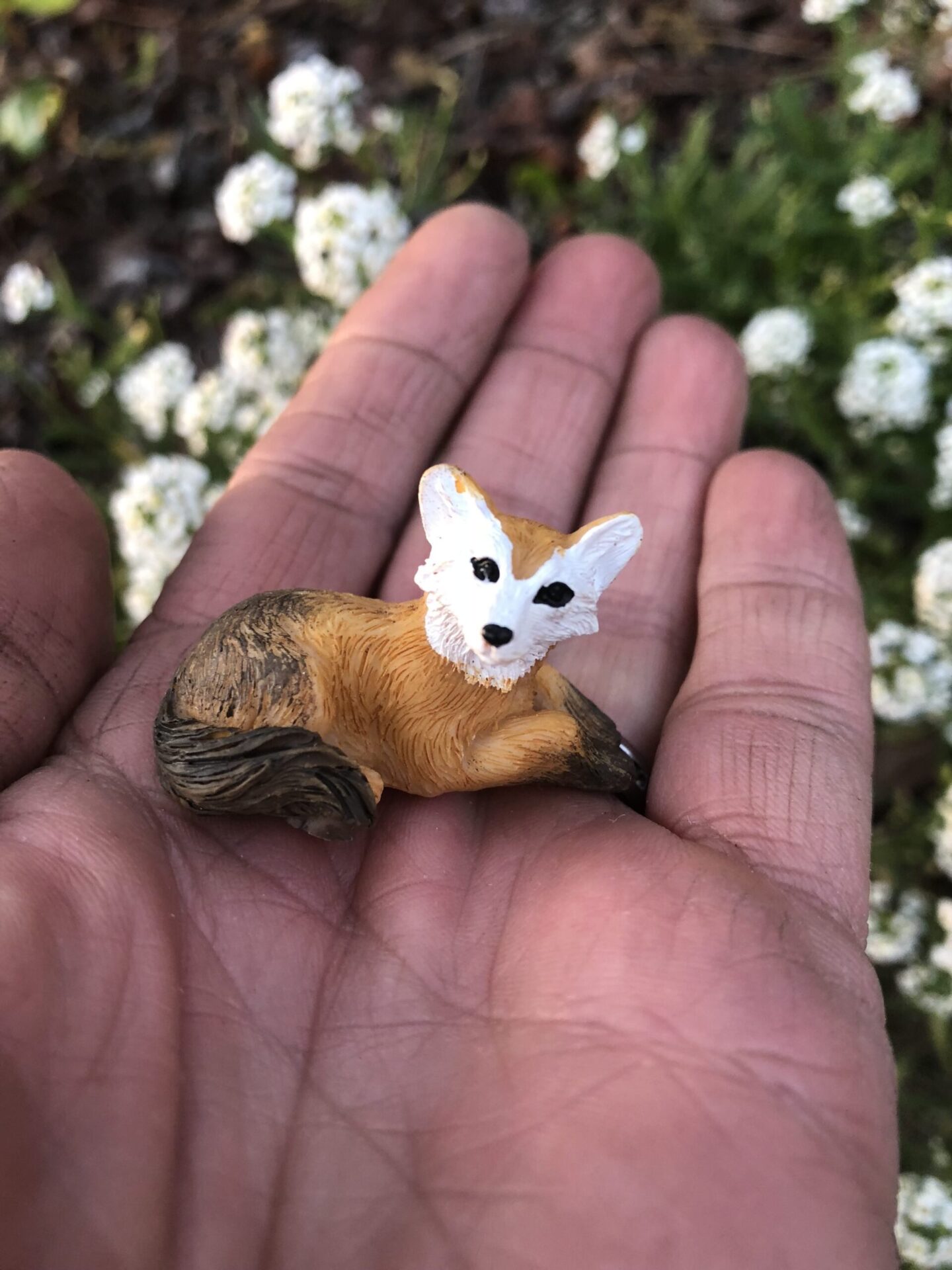 Miniature Fox - Sprouted Dreams